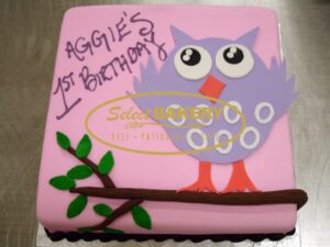 Birthday Cake - Owl 399