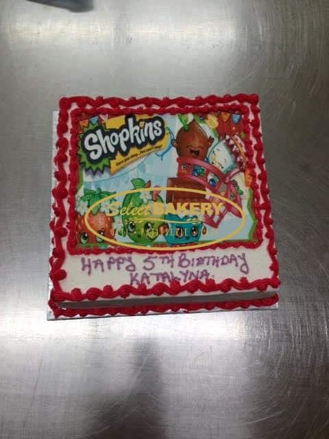 Birthday Cake Universe 504