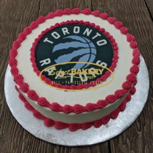 Toronto Raptors Cake 12 slices